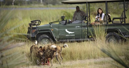 Game drives in the Okavango {&Beyond}